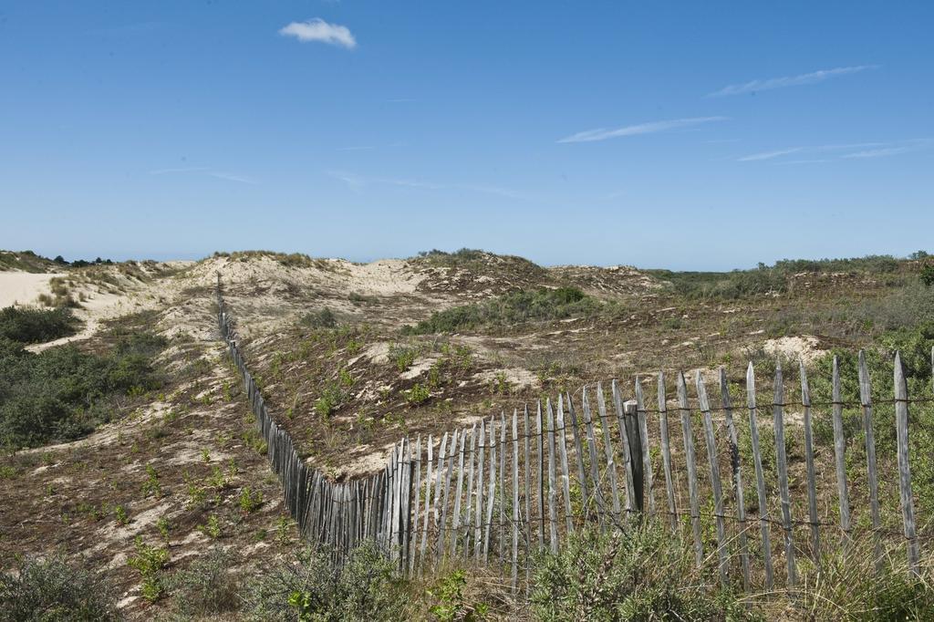 Evancy Etoile Des Dunes Bray-Dunes Exterior photo