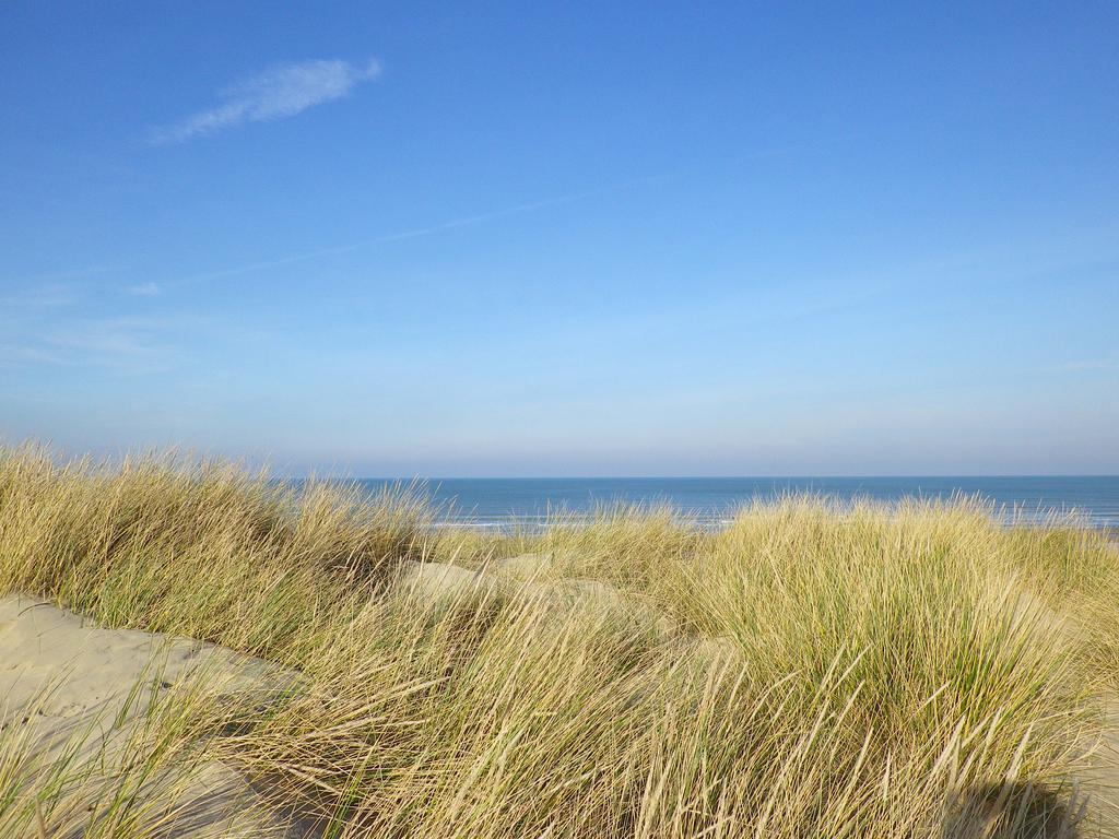 Evancy Etoile Des Dunes Bray-Dunes Exterior photo